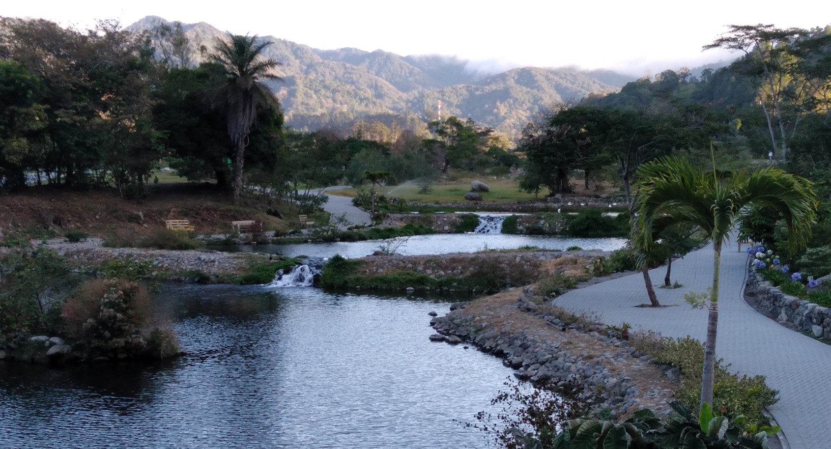 A walk through the park in the early morning