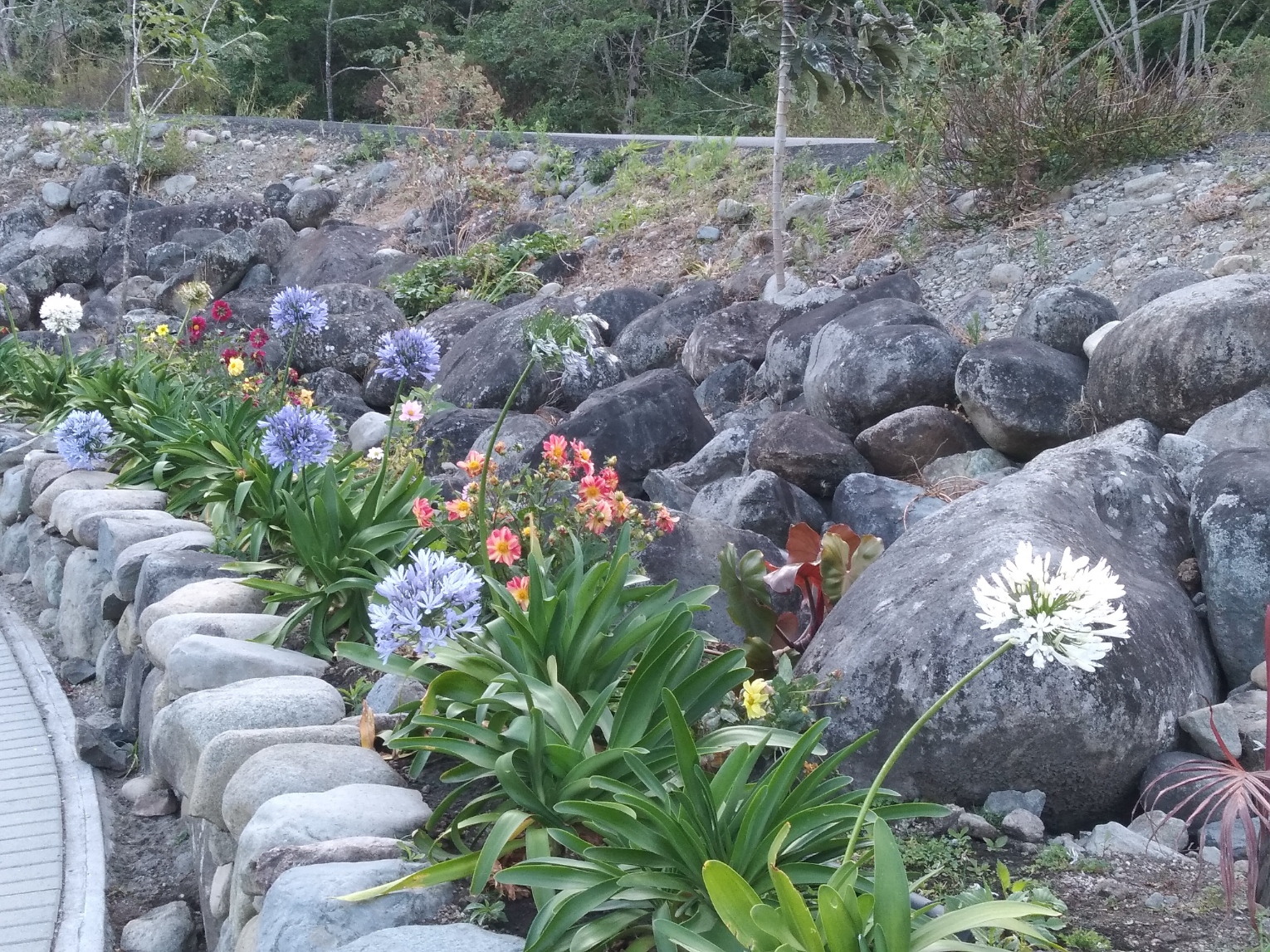 A walk through the park in the early morning