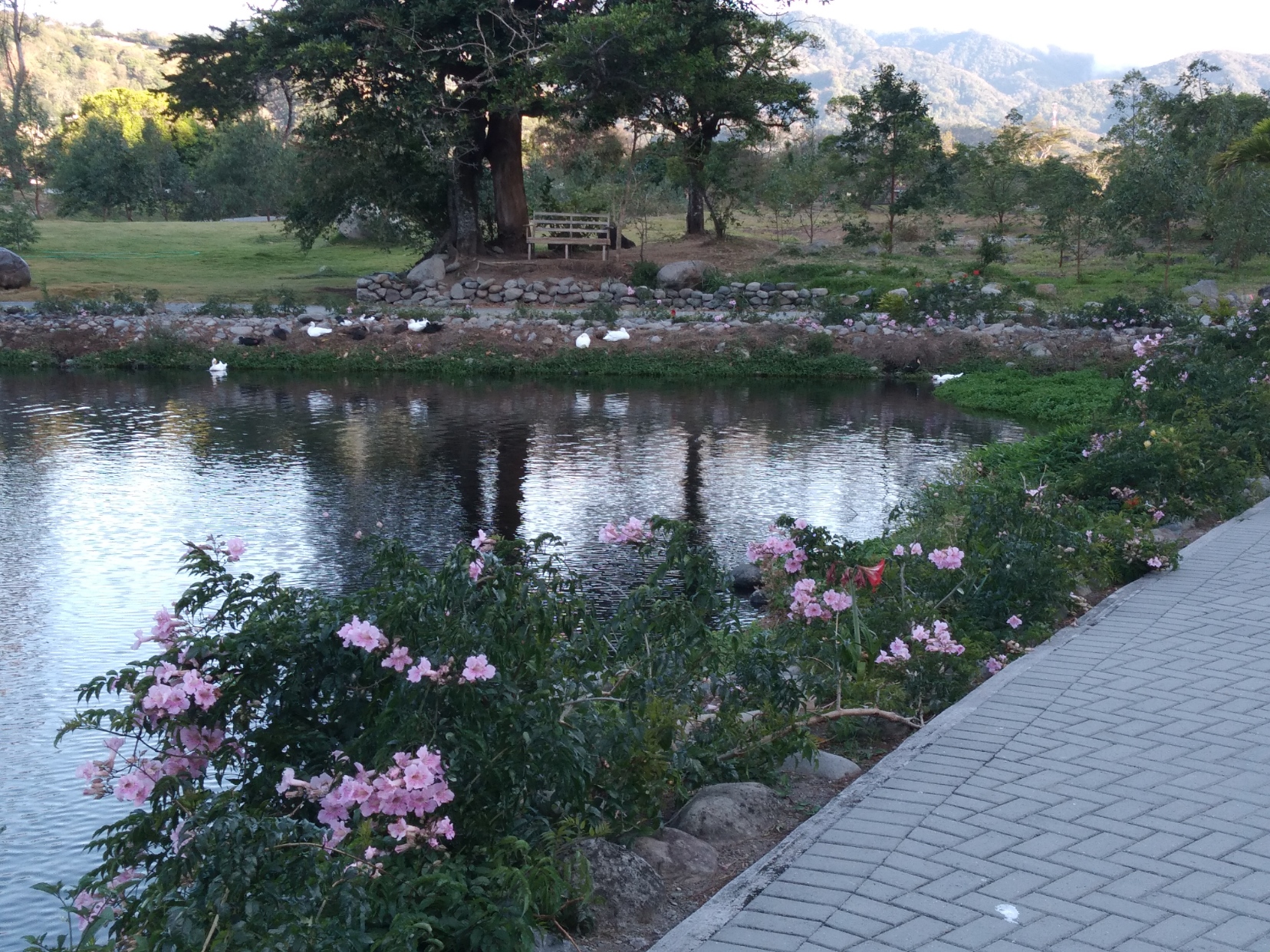 A walk through the park in the early morning