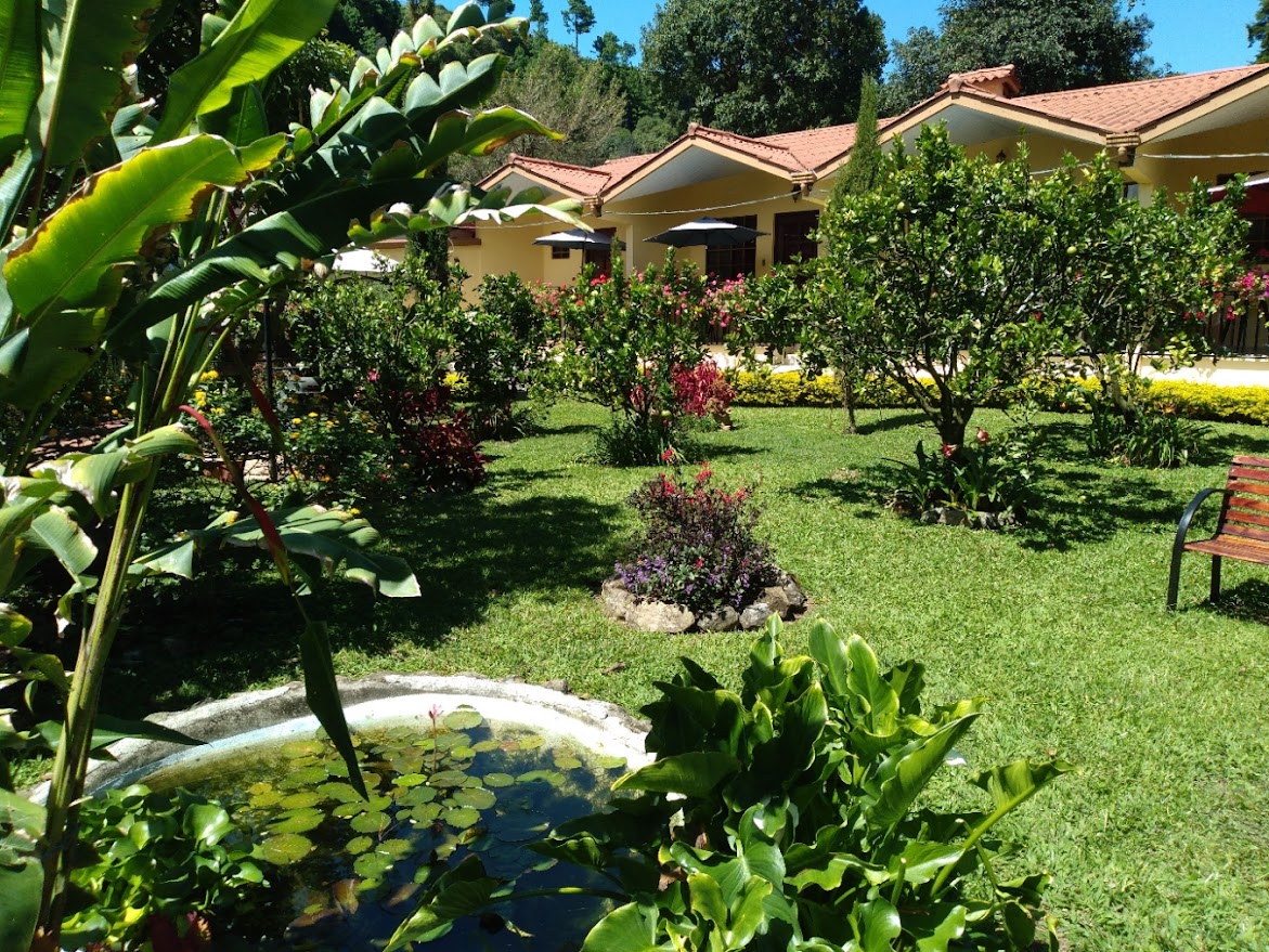 A view from the fish ponds toward the apartments